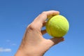 Hand holding tennis ball on blue sky background. Royalty Free Stock Photo