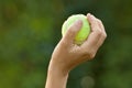 Hand holding tennis ball Royalty Free Stock Photo