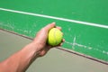 Hand holding tennis ball Royalty Free Stock Photo