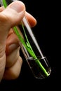 Hand holding a test tube Royalty Free Stock Photo