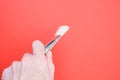 Hand holding a thick painting brush on red background for a copy space Royalty Free Stock Photo
