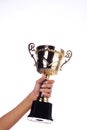 A hand holding a throphy Royalty Free Stock Photo