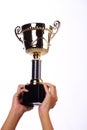 A hand holding a throphy Royalty Free Stock Photo