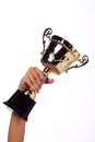 A hand holding a throphy Royalty Free Stock Photo
