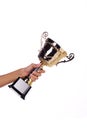 A hand holding a throphy Royalty Free Stock Photo