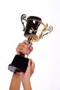 A hand holding a throphy Royalty Free Stock Photo