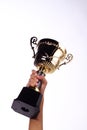 A hand holding a throphy Royalty Free Stock Photo