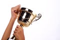 A hand holding a throphy Royalty Free Stock Photo