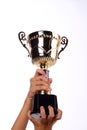 A hand holding a throphy Royalty Free Stock Photo