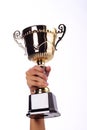A hand holding a throphy Royalty Free Stock Photo