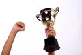 A hand holding a throphy Royalty Free Stock Photo