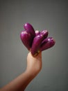 the hand holding tightly the fresh eggplant Royalty Free Stock Photo