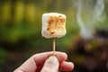 hand holding toasted marshmallow on a stick Royalty Free Stock Photo