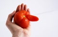 Hand holding a tomato funny nose shape