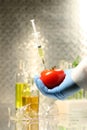 Hand holding tomato with syringe