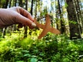 Hand holding toy wooden airplane plane and trees in forest background. Concept of flying on an airplane, travel, leisure Royalty Free Stock Photo