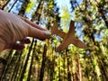 Hand holding toy wooden airplane plane and trees in forest background. Concept of flying on an airplane, travel, leisure Royalty Free Stock Photo