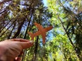 Hand holding toy wooden airplane plane and trees in forest background. The concept of flying on an airplane, travel Royalty Free Stock Photo