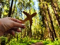 Hand holding toy wooden airplane plane and trees in forest background. The concept of flying on an airplane, travel Royalty Free Stock Photo