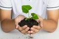 Hand holding a tree for giving life to the Earth Royalty Free Stock Photo