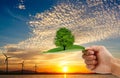 Hand holding the tree on leaf. turbine with sun set background. Royalty Free Stock Photo