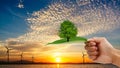Hand holding the tree on leaf. turbine with sun set background. Royalty Free Stock Photo