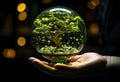 A hand holding a tree. A person holding a glass ball with a tree inside of it