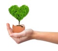 Hand holding tree in the shape of heart Royalty Free Stock Photo