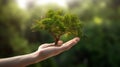 A hand holding a tree symbolizes the need to protect forests.