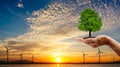 Hand holding the tree. turbine ecology technology with sun set background.