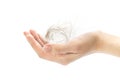 Hand holding a tuft of hair. Close up. Isolated on a white background