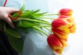 Hand holding tulip bouquet. Flower shop, florist working Royalty Free Stock Photo