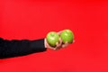 Hand holding a two apple on red background, green apples Royalty Free Stock Photo