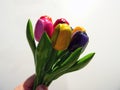 Hand Holding Up a Bouquet of Colorful Wooden Tulips  on a White Background Royalty Free Stock Photo