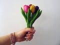 Hand Holding Up a Bouquet of Colorful Wooden Tulips Isolated on a White Background Royalty Free Stock Photo