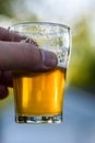 Hand holding up craft beer flight sample glass in sunlight outside Royalty Free Stock Photo