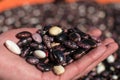 Hand holding up dried colorful beans