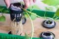 Person holding up the roots of hydroponic plant in net pot