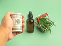 Hand holding the US banknotes with cannabis oil extracts and green marijuana leaves in a mini basket blurred background.