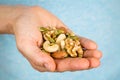 Hand holding a variety of nuts and seeds Royalty Free Stock Photo