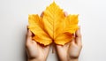 A hand holding a vibrant yellow maple leaf in autumn generated by AI Royalty Free Stock Photo