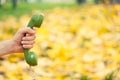 Hand holding vintage phone Royalty Free Stock Photo