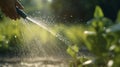 a hand holding a waterhose in the garden, focus on the hose end, waterdrops are coming out Royalty Free Stock Photo