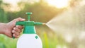 Hand holding watering can and sprayign to young plant in garden Royalty Free Stock Photo