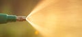 Hand holding watering can and sprayign to young plant in garden Royalty Free Stock Photo