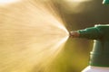 Hand holding watering can and sprayign to young plant in garden Royalty Free Stock Photo