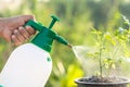 Hand holding watering can and sprayign to young plant in garden Royalty Free Stock Photo