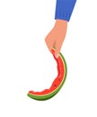 Hand holding watermelon rind. Hand throws watermelon rind into trash can. Organic waste. Trash sorting, recycling. Vector