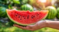 Hand holding watermelon wedge with blurred background, perfect for text placement Royalty Free Stock Photo