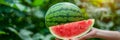 Hand holding watermelon wedge, watermelon selection on blurred background with copy space Royalty Free Stock Photo